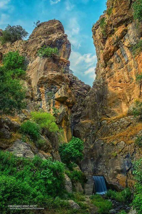 سولی دەوژان